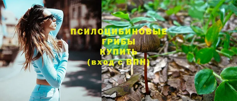 Галлюциногенные грибы MAGIC MUSHROOMS  Белогорск 